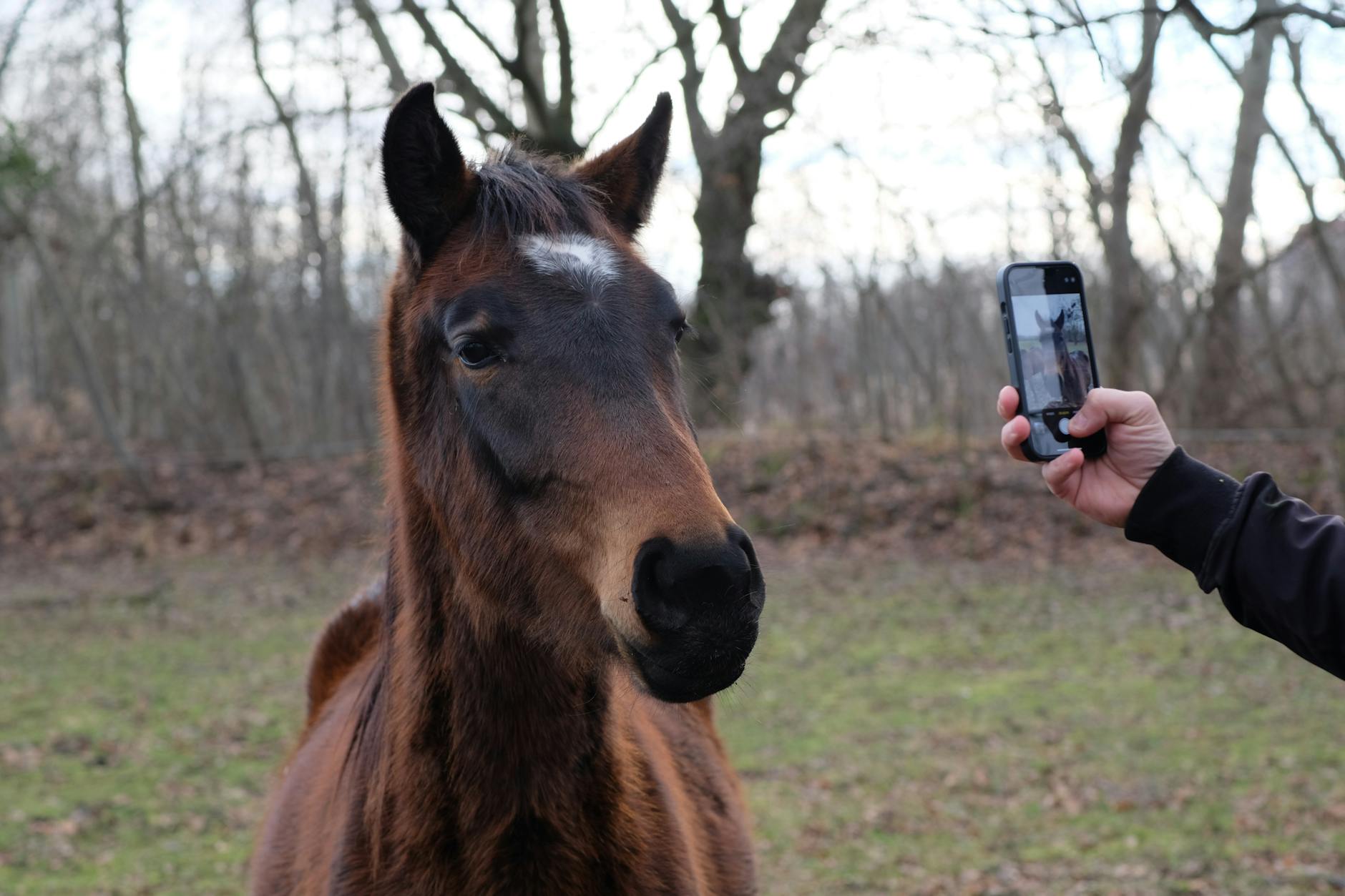 How To Deploy React App On Netlify For Free Explained for Beginners